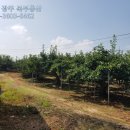 장성 공인중개사사무소 이미지