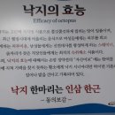 오륙도낙지 이미지