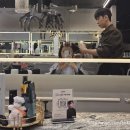 [대치동미용실] 에코자뎅 대치테라스점 : 태준 샘에게 받은 상큼한 헤어컷 후기