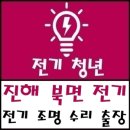 진해 전기수리 북면 누전 공사 - 전기조명 전문 출장 업체 추천