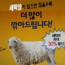 크린토피아세일 10월19일~10월24일 (다다익싼세일)최대30%할인 이미지