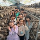 산청농기계임대사업소 | 박람회 성황·농촌 정주여건 개선 앞장 - - 농기계임대사업소·브랜드‘진주드림’등 성과 커 - - 그린...