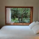 폴개우영 이미지