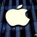 애플, 전기차 프로젝트 '타이탄' 10년 만에 결국 폐기 이미지