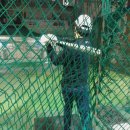 꼬꼬노래연습장 이미지