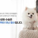 오창동물병원 이미지