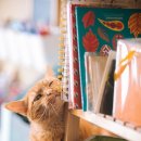 동탄호수동물병원 이미지