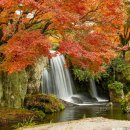 연우당한의원 이미지