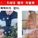 벨라테라