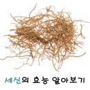 세신약국 이미지