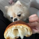 아뱅베이커리 이미지