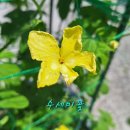 낙모정