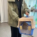 베베독 강아지분양 대구본점 이미지