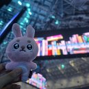 럽미비 | 데이식스 〈The DECADE〉 FINALE in SEOUL 콘서트 후기(체조경기장 23구역 9열, S5구역 600번대 시야)