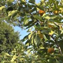 다감농장 이미지