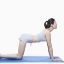 다이어트 건강요가 이미지