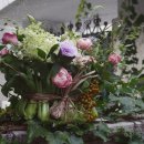 컨포지움 이미지