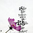 이도캘리그라피 이미지