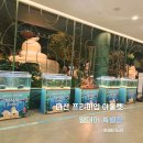 (1~3학년)마리모 어항 만들기 | 다산 프리미엄 아울렛 열대어 특별전 아이와 가볍게 구경하기 좋아요