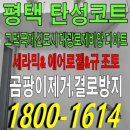 고덕국제신도시 대광로제비앙 THE ART | 평택 탄성코트 고덕국제신도시 대광로제비앙디아트 베란다 크랙 보수 후 페인트칠 작업