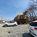 생선명가거북명태 이미지