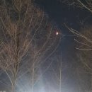 이레디자인 | 구리 인테리어 화장실 방수 타일전문 금성이레건축에서 인테리어공사 시작한 후기 2주차