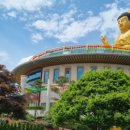 진신농장 이미지