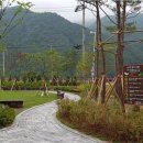 인제 터미널 앞 공원 이미지