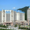 아일랜드 이미지