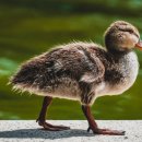 대경중학교 이미지