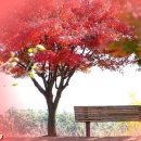 최신 인기가요_가을편_70곡 이미지