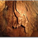 김천중앙초등학교 이미지