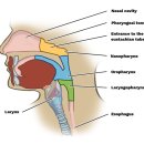 365경희한의원 이미지