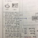 기본이론반_응급간호_p368-AED 패드 위치 이미지