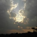 안중지인 이미지