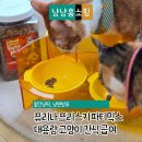 간식파티 | 퓨리나 프리스키 파티믹스 대용량 고양이 간식 오리지널 급여 후기