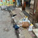 교리 교차로 앞 | [여행기] 2025 인도에서 살아남기 2부 (델리)