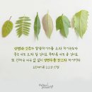 하나님의 교회 동영상 설교 생명수의 근원 어머니 이미지