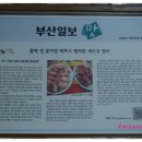 황금새우 이미지
