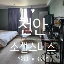 호텔소설스미스 | [천안] 두정역 인근 숙소 소설스미스호텔 천안점 방문후기