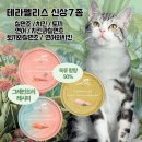 펫허그