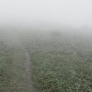 하늘 노래 소리 이미지