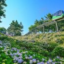 남구-064 네이버블로그