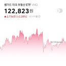 도사리츠 | [VNQ] 뱅가드 미국 부동산etf 소수점 매수, 배당금과 배당일