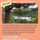 한담 Daum카페