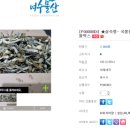 중매인500