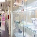 특화거리 이미지