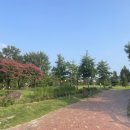 (유)유성 | 2024 유재페 유성재즈&amp;비어 페스타 일요일 방문 후기