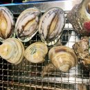 시소(Sea-Saw) 이미지