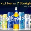 카스 이미지